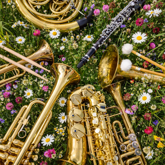 Instrumente Blumenwiese